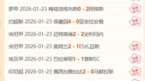 维兹之刃试玩版发布：女骑士与黑猫精灵合作，主打哈迪斯风格战斗