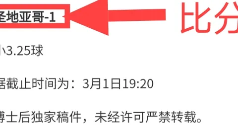 篮球赛事：掘金与火箭深度分析及专家推荐
